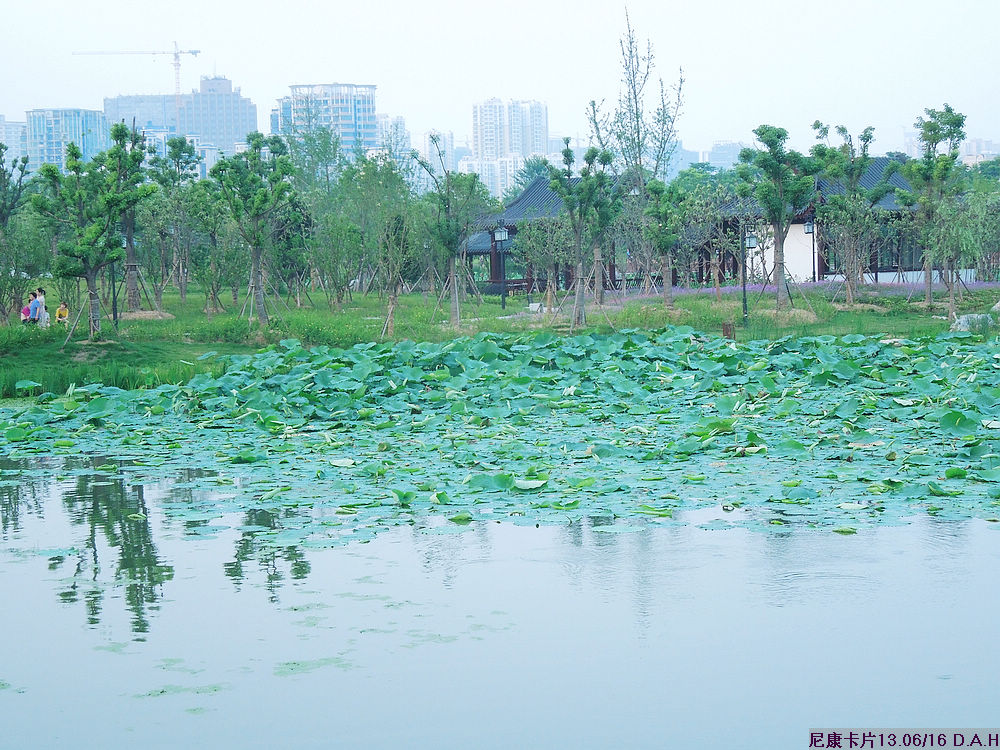 dscn0271.jpg