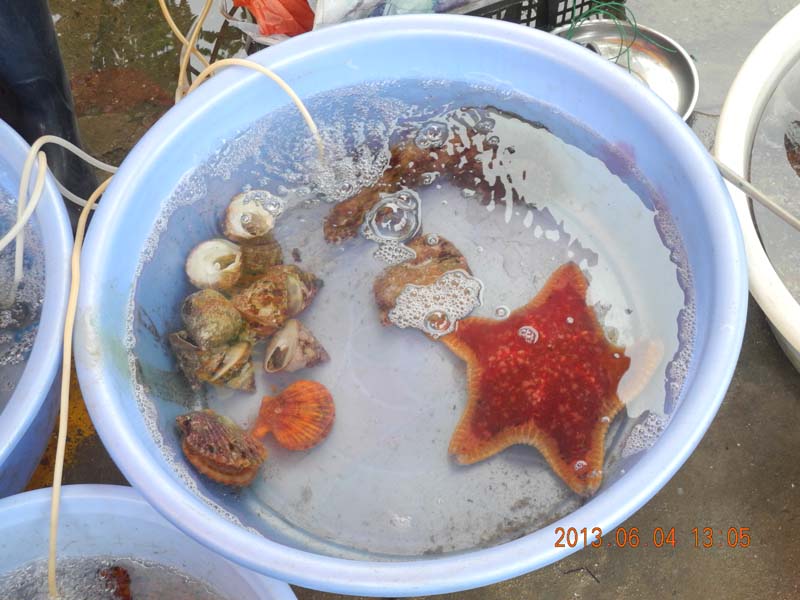 dscn0358.jpg
