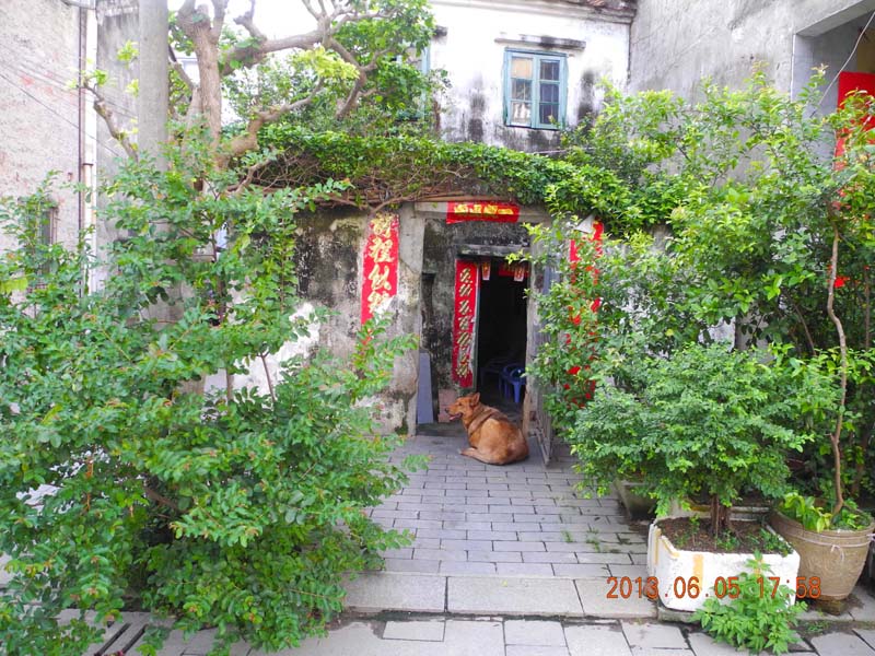 dscn0853.jpg
