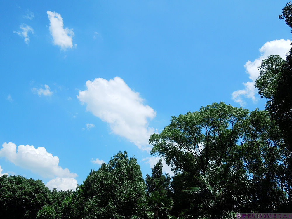 dscn0558.jpg