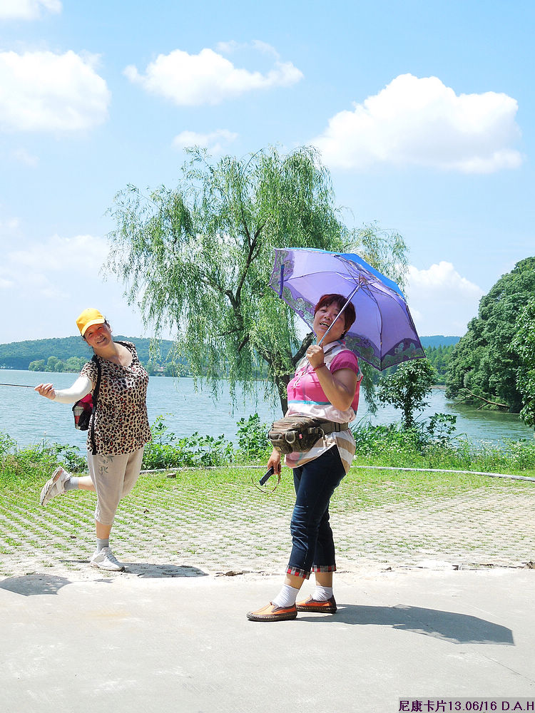 dscn0519.jpg
