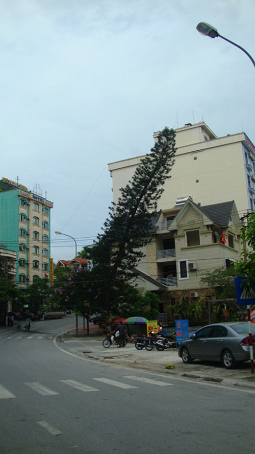 dsc00320_.jpg