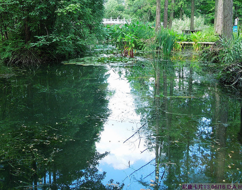 dscn0631.jpg