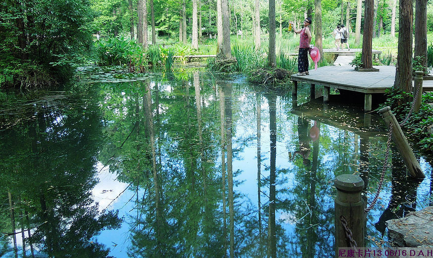 dscn0626.jpg