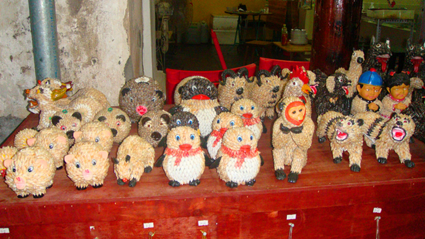 dsc00239_.jpg