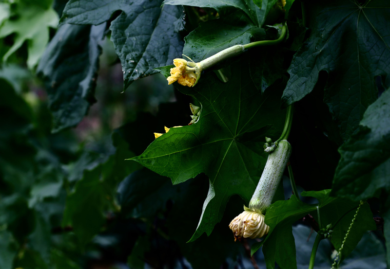 6u0b0619.jpg