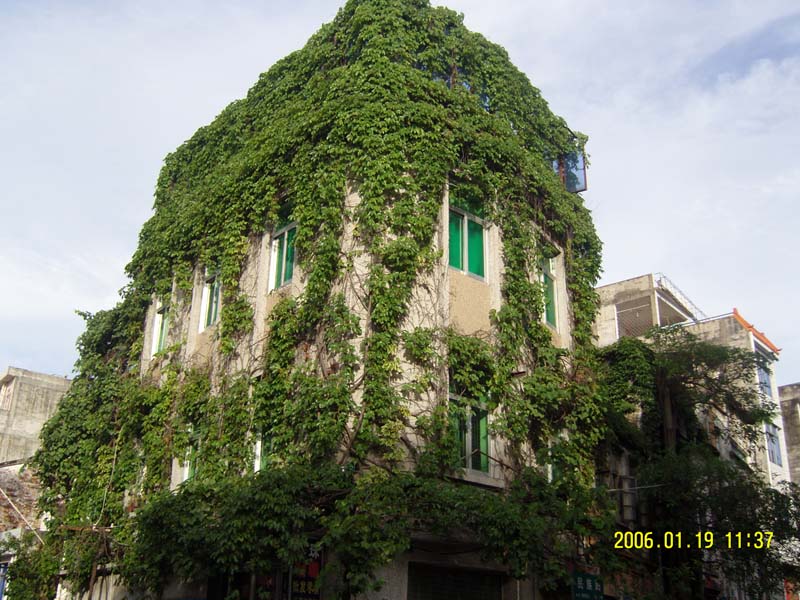 snc17157.jpg