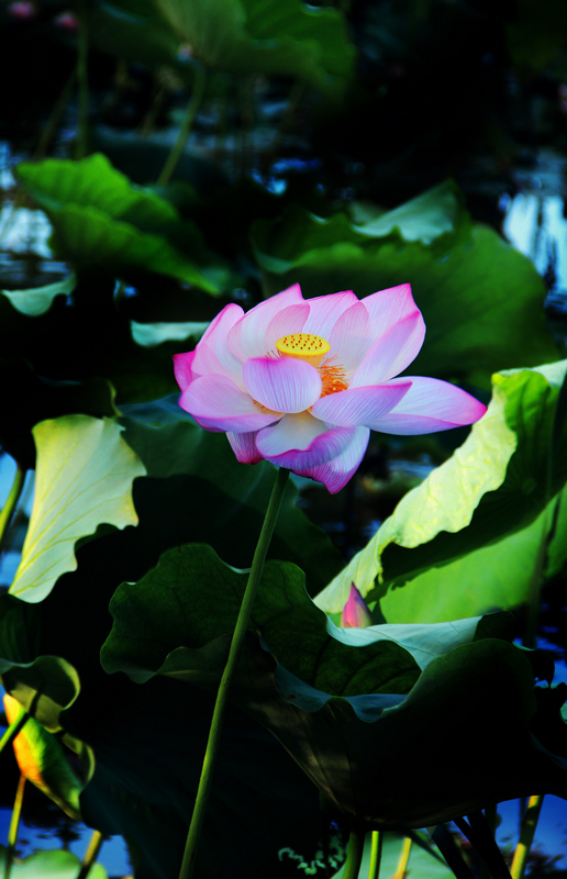 img_8023ab.jpg