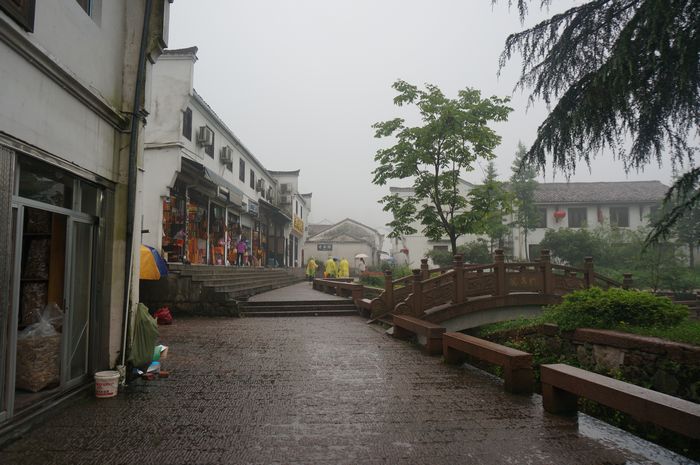 dsc01701.jpg