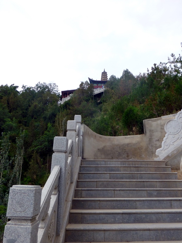 p1080410.jpg