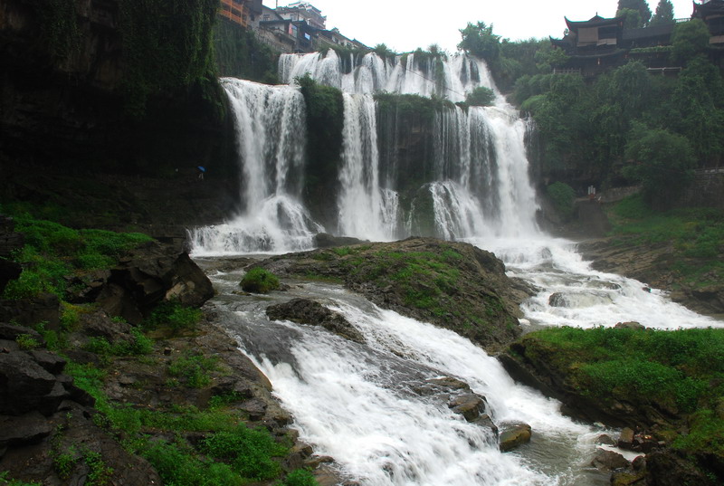 dsc_1113.jpg