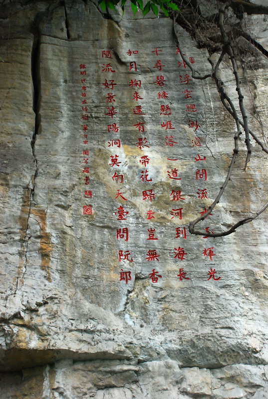 dsc_1178.jpg