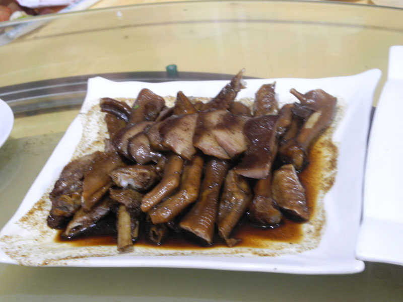 dscn1766.jpg