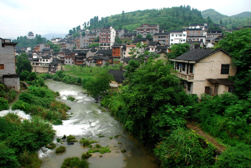 dsc_1429.jpg