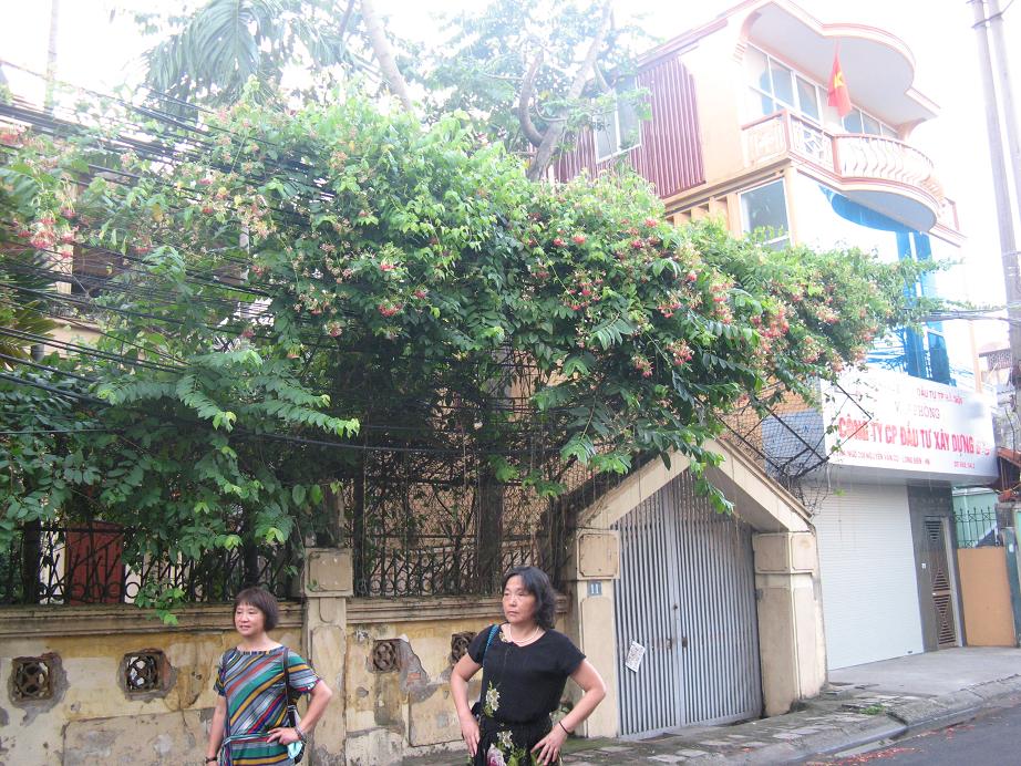 ynƬ 252.jpg