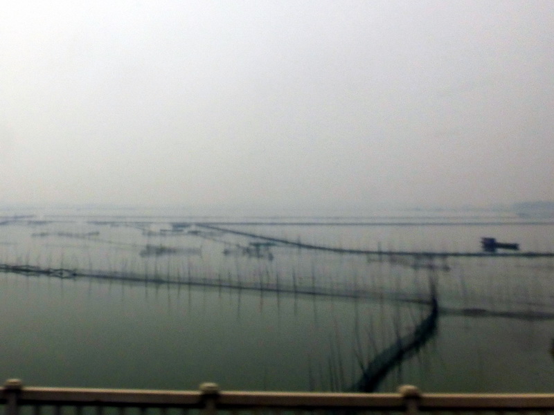 p1070756.jpg