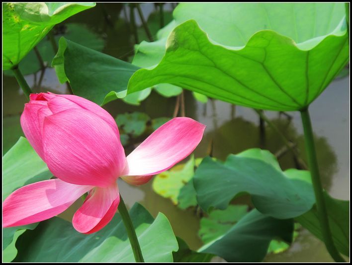 Ƭ 074.jpg