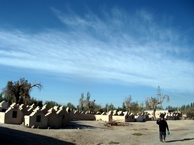 dscf0260.jpg