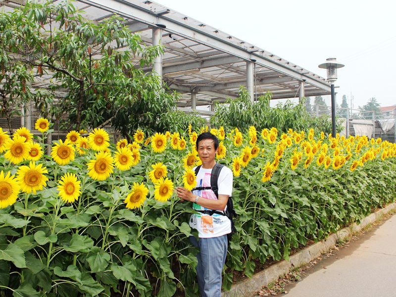 Ƭ 093.jpg