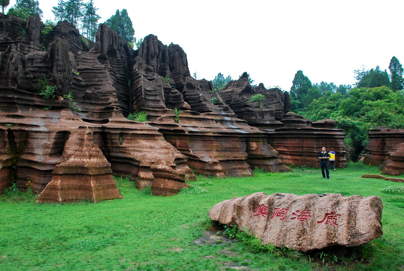 dsc_1623.jpg