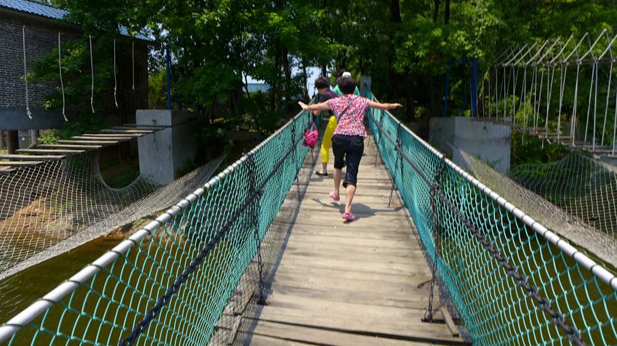 p1130179.jpg