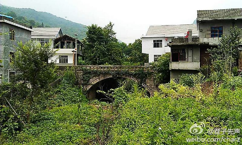 清水湾的拱桥.jpg