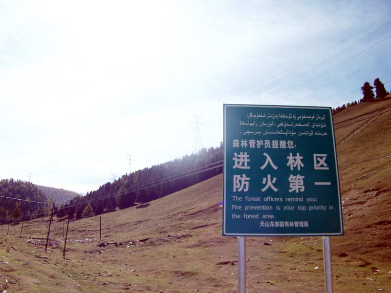 dscf0335.jpg