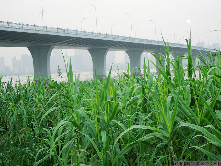 dscn0675.jpg