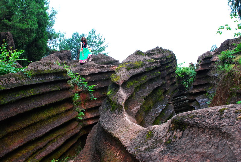 dsc_1877.jpg
