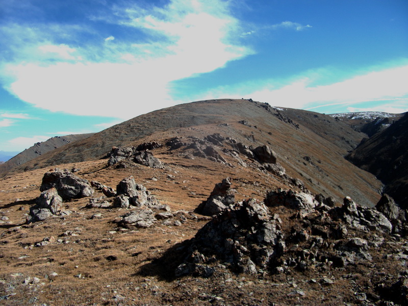 dscf0380.jpg