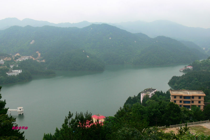 p1270578.jpg