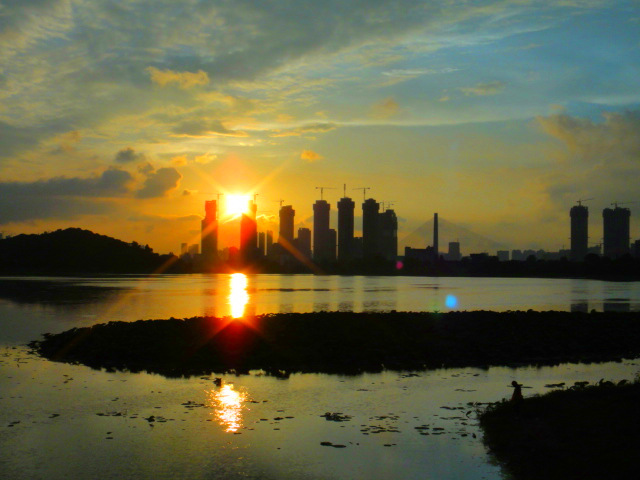 dsc00477_.jpg