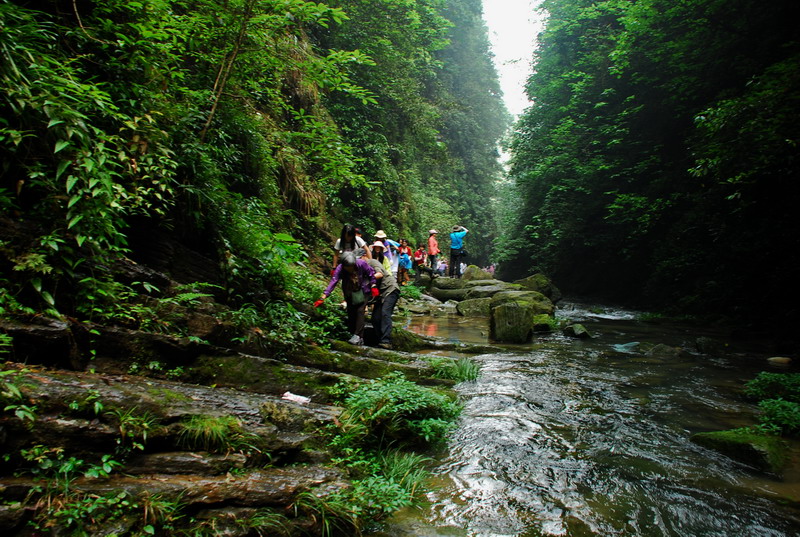 dsc_2112.jpg