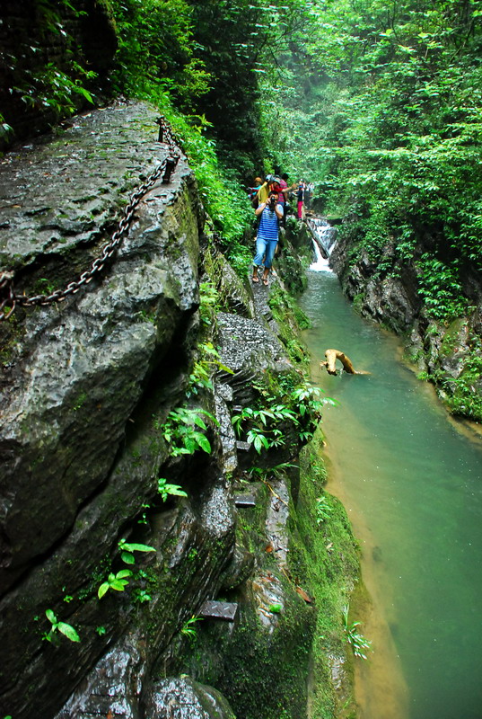 dsc_2145.jpg
