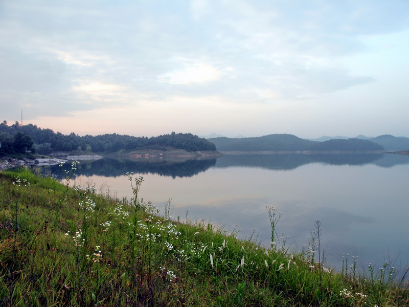 dsc_0253.jpg