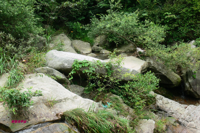 p1270514.jpg