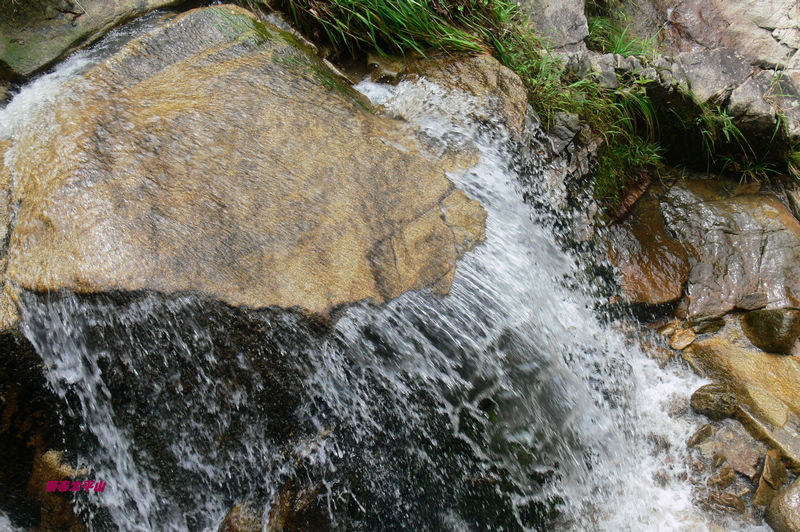 p1270516.jpg