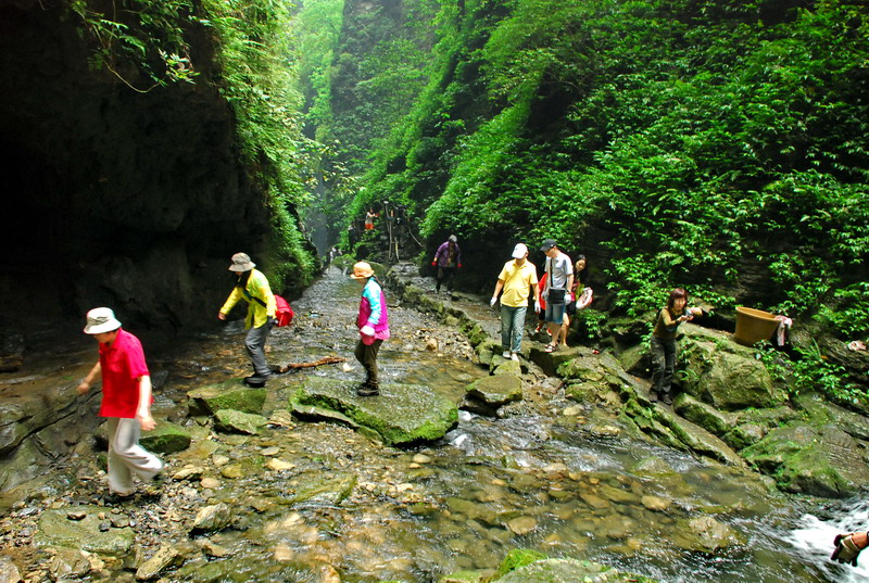 dsc_2272.jpg