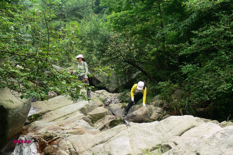 p1270520.jpg