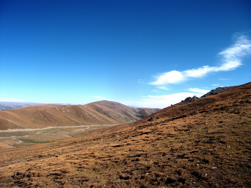 dscf0365.jpg