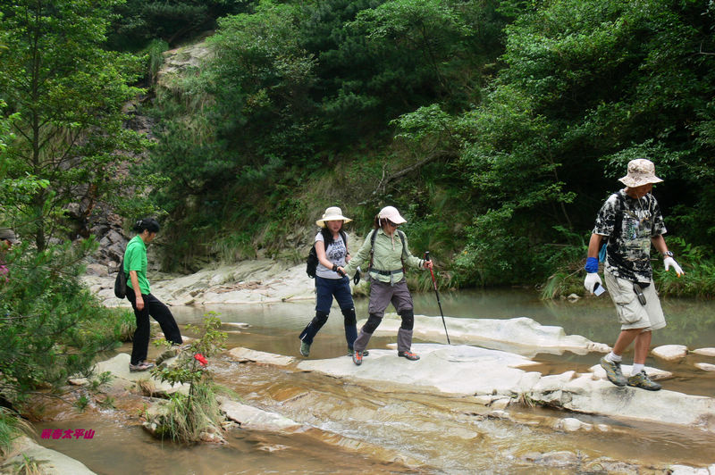 p1270538.jpg