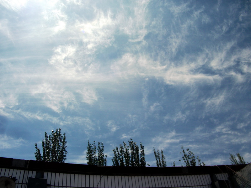 dscf0206.jpg