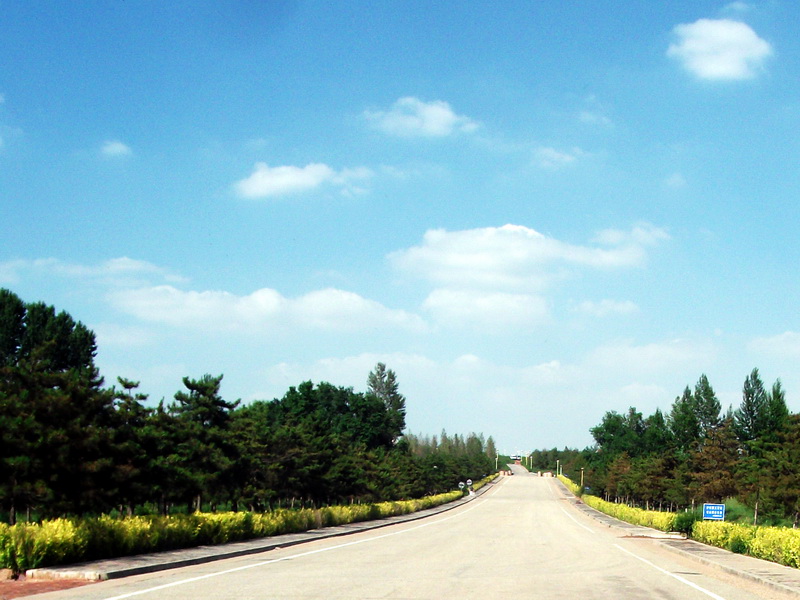 dscf0243.jpg