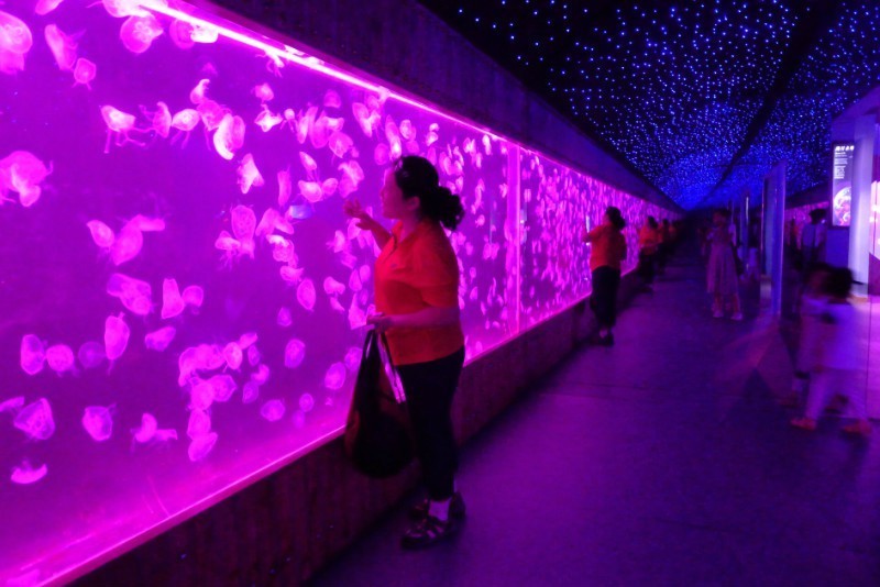 qqͼƬ20130626165739.jpg