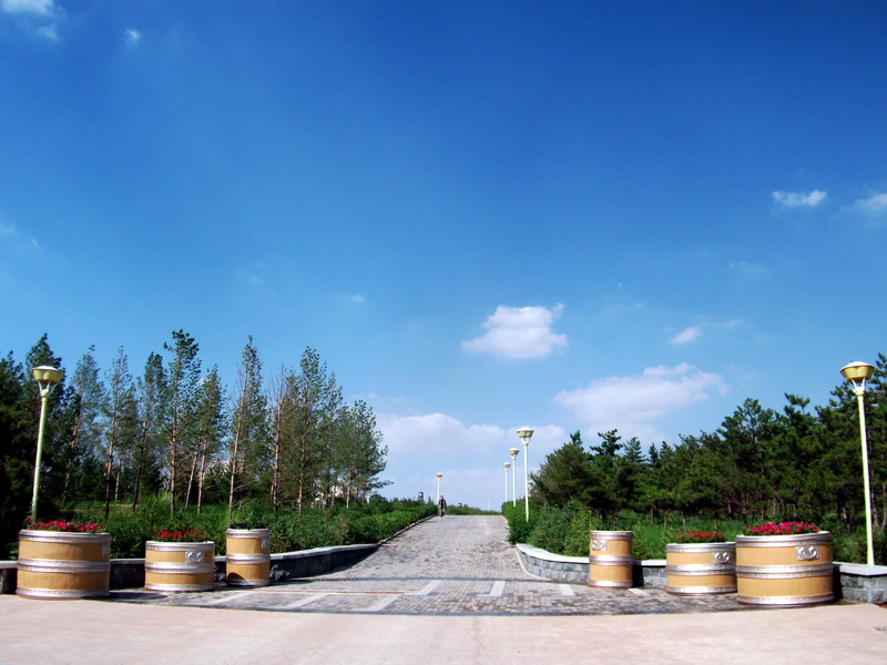 dscf0247.jpg
