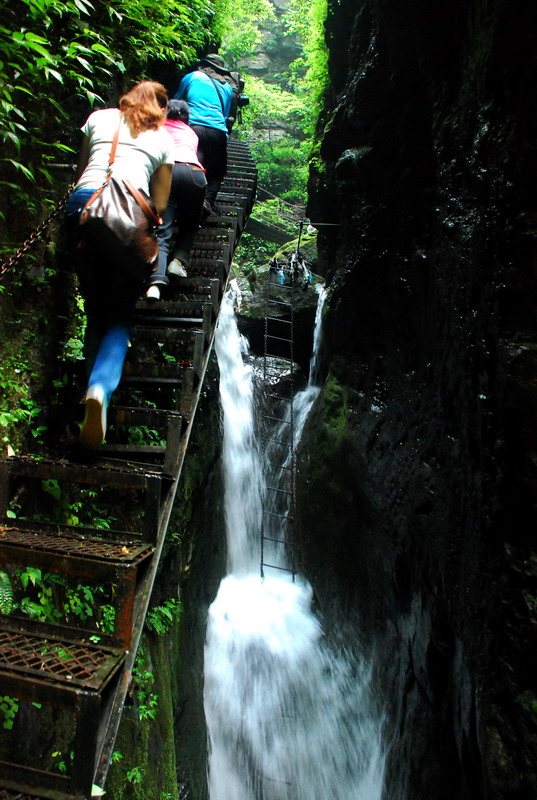 dsc_2396.jpg