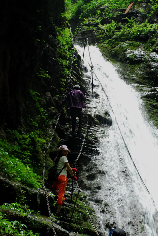 dsc_2429.jpg