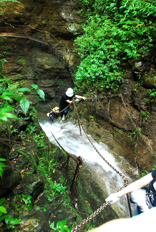 dsc_2446.jpg