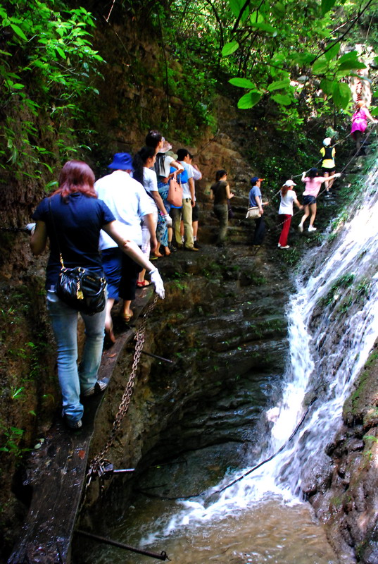 dsc_2485.jpg