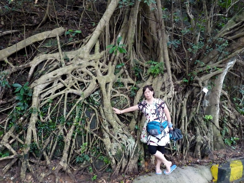 p1050061.jpg